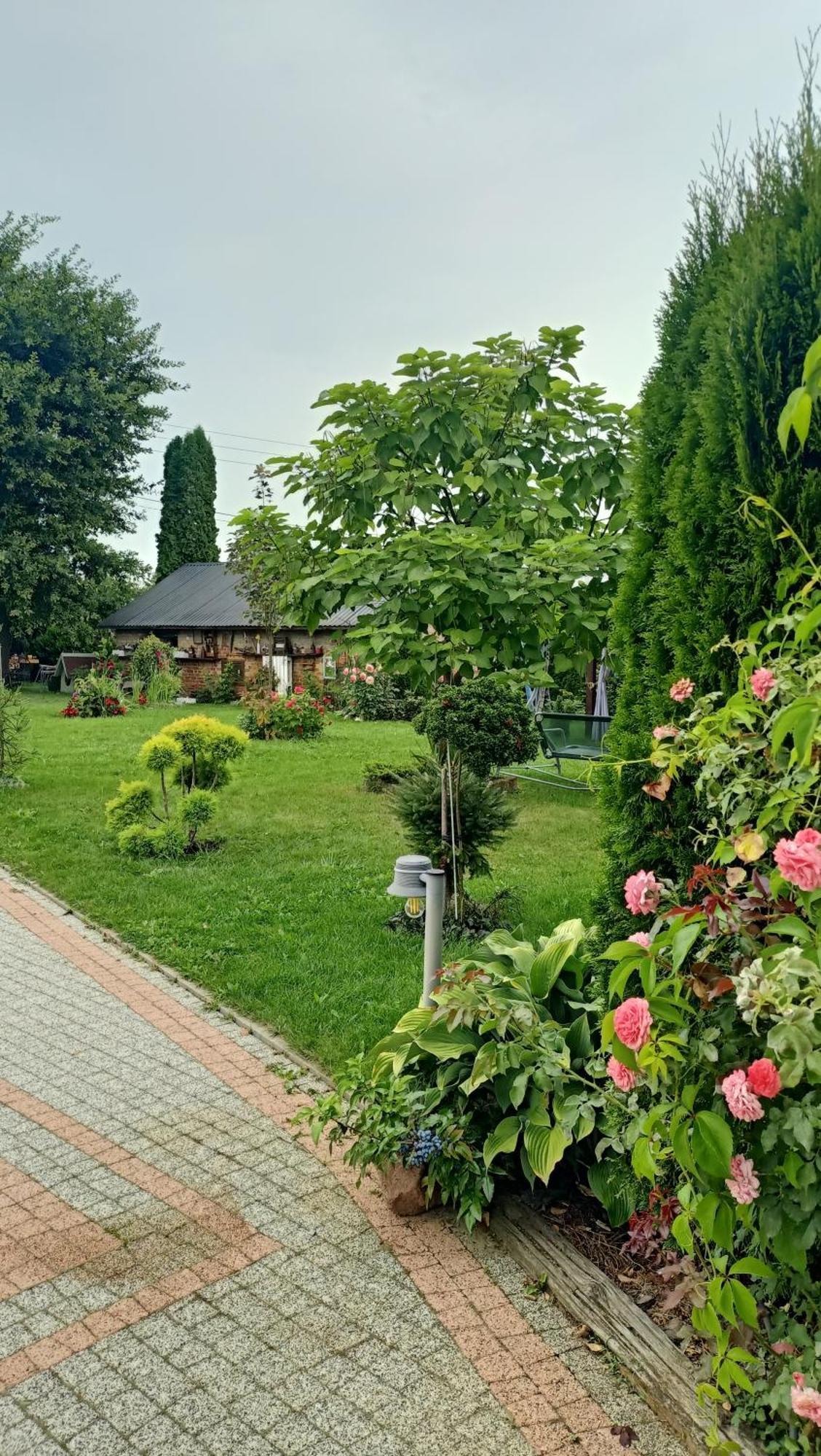 Appartamento Ostoja Czersk Zamek Gora Kalwaria Esterno foto