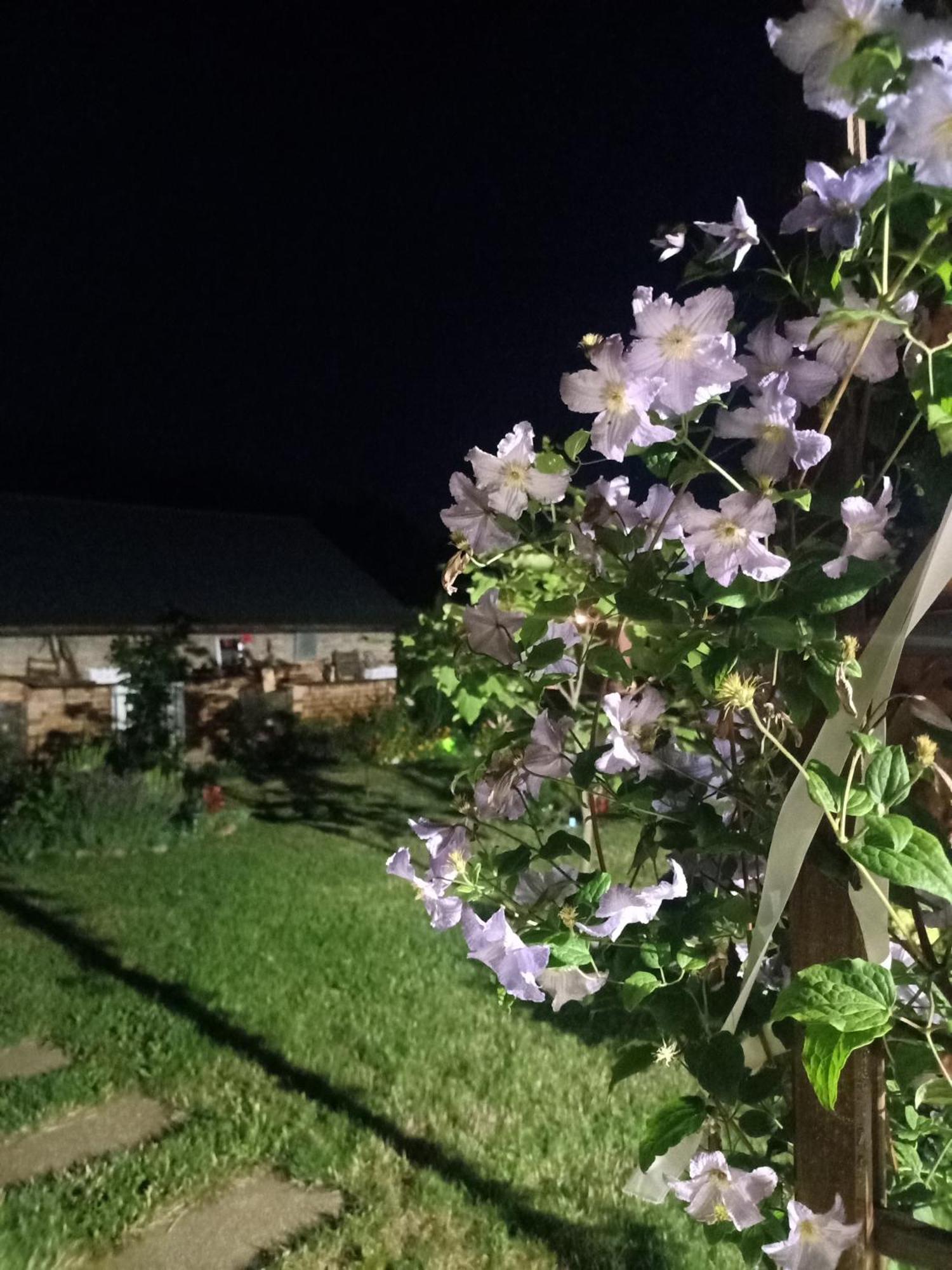 Appartamento Ostoja Czersk Zamek Gora Kalwaria Esterno foto