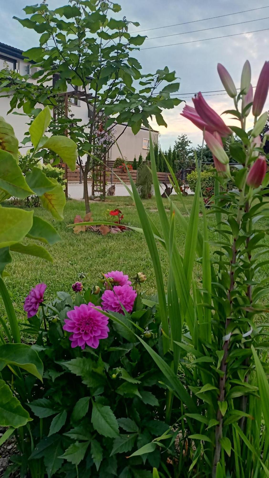 Appartamento Ostoja Czersk Zamek Gora Kalwaria Esterno foto