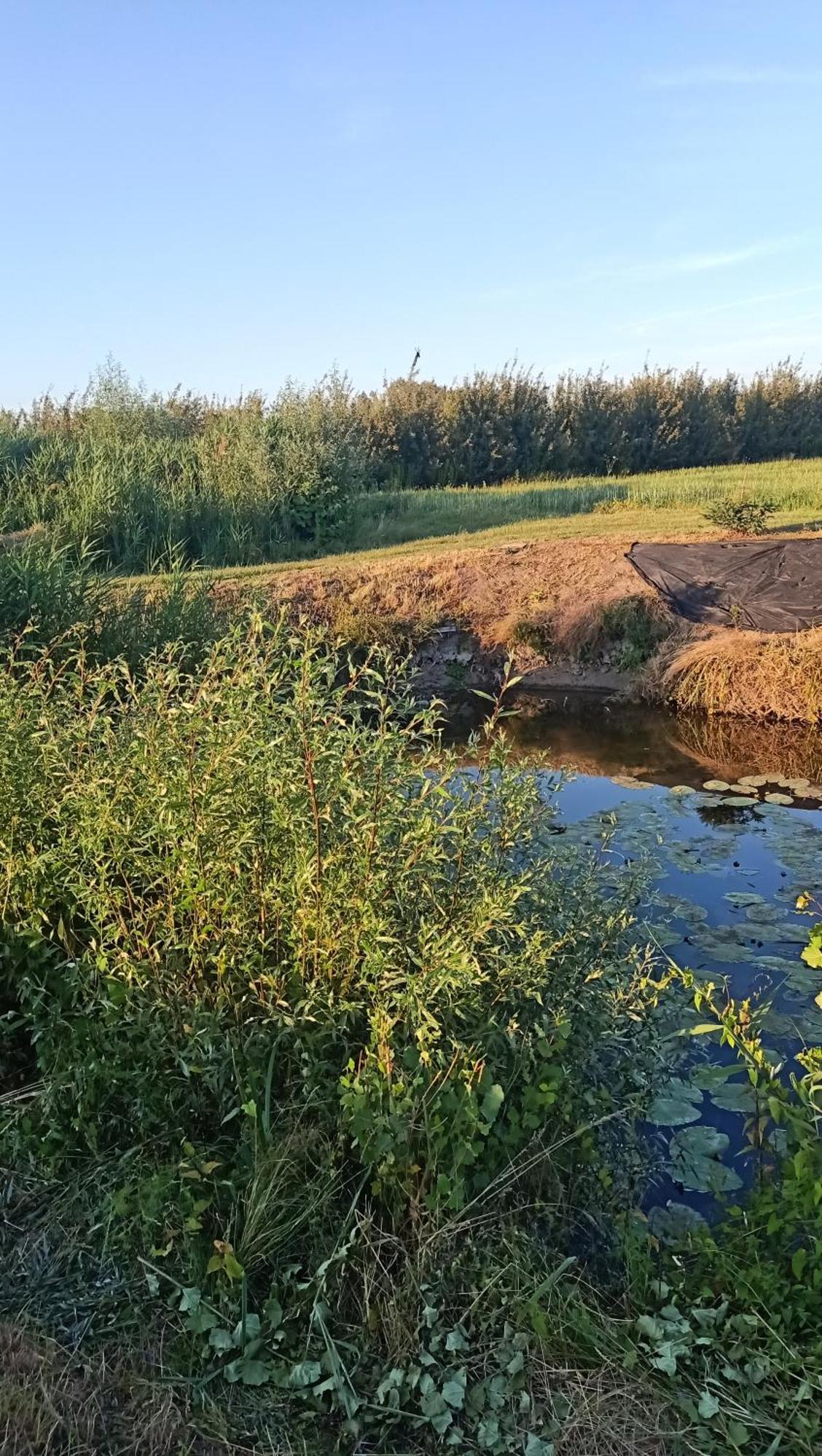 Appartamento Ostoja Czersk Zamek Gora Kalwaria Esterno foto