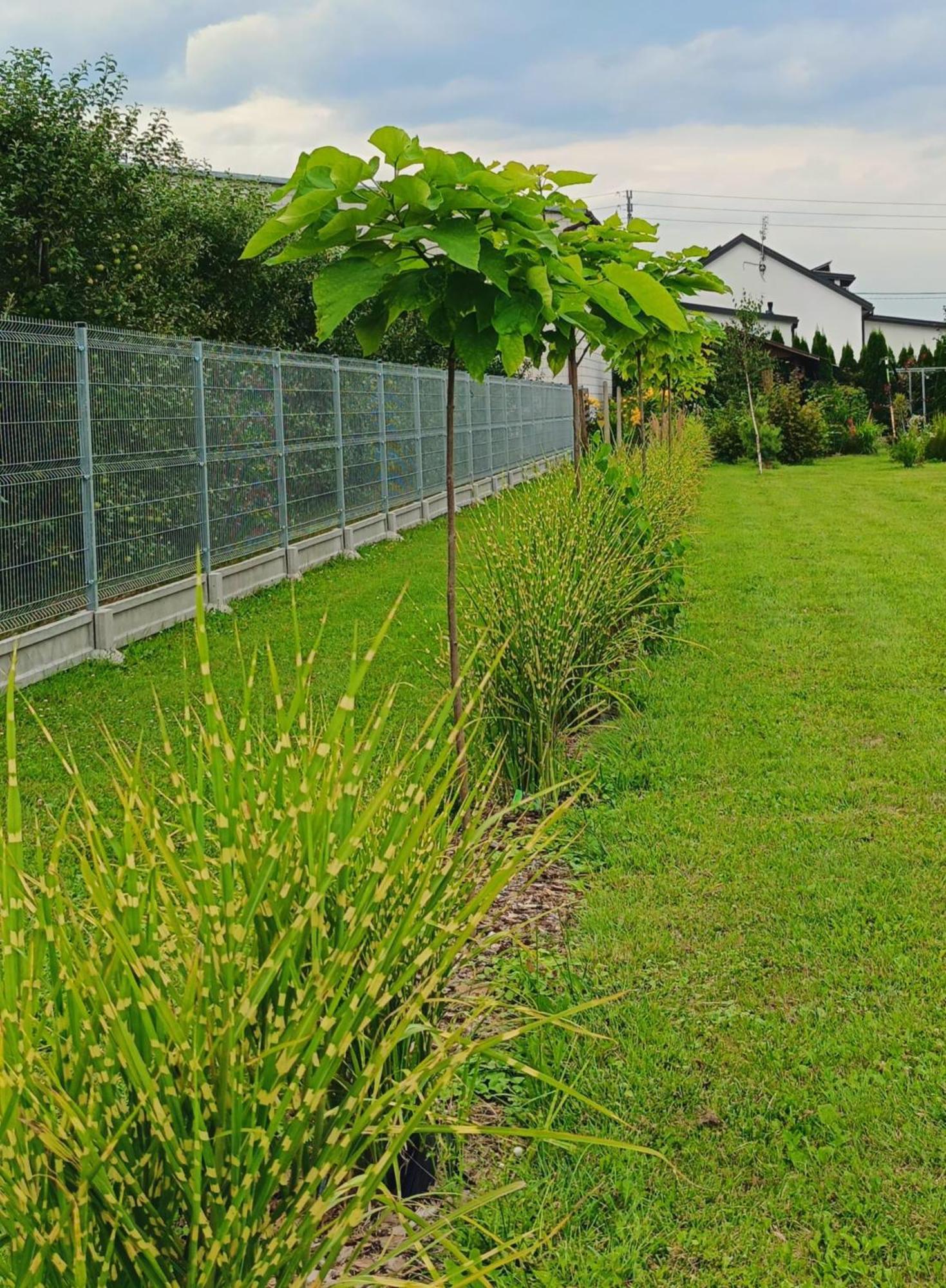 Appartamento Ostoja Czersk Zamek Gora Kalwaria Esterno foto